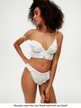 Alyre brief