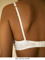 organic cotton underwire bra