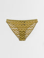 chevron brief