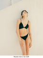 Ara brief